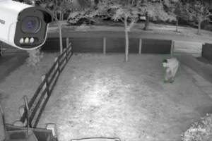 câmera com gravador de voz